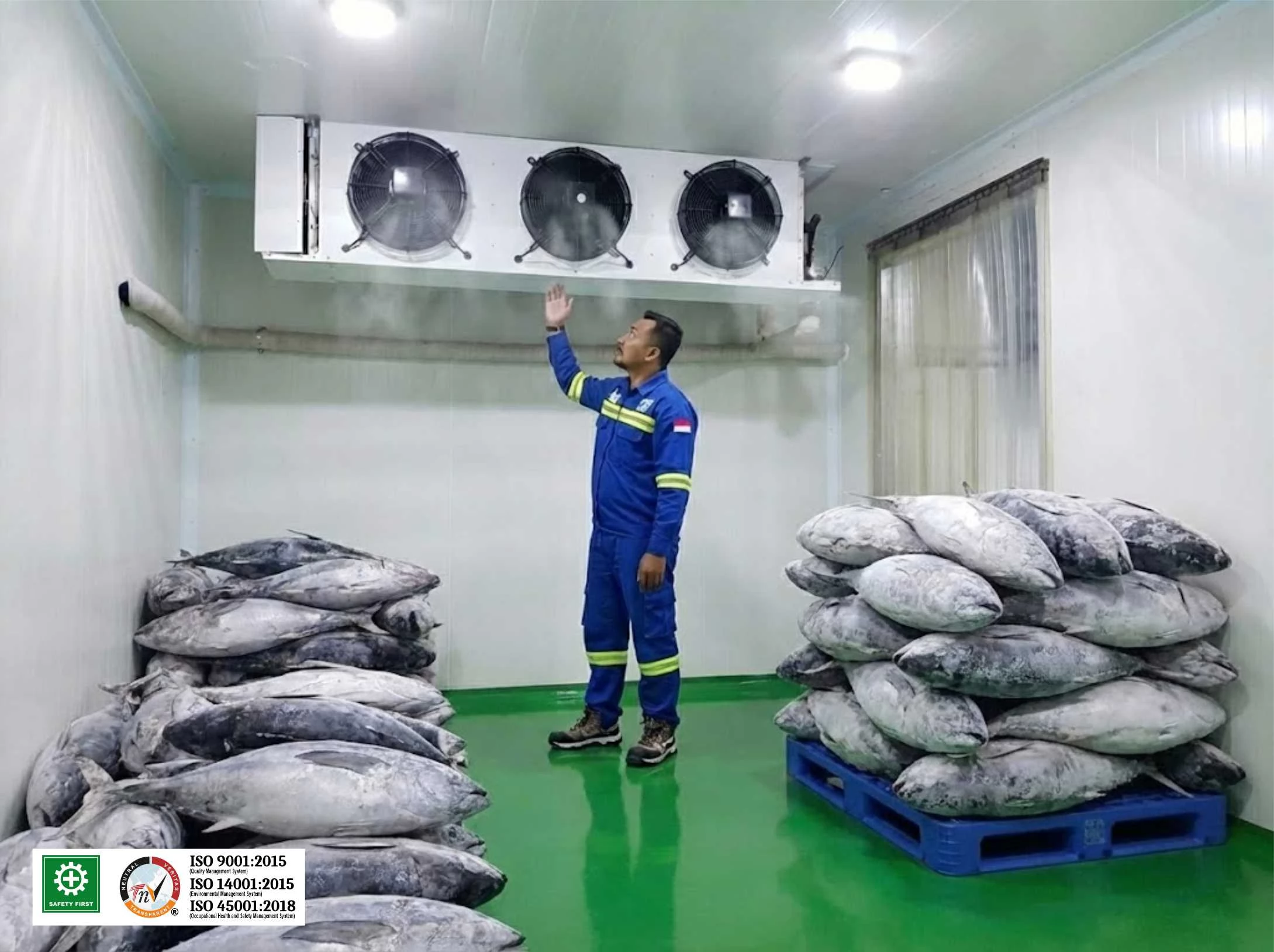 Ruangan Pendingin Daging atau Cold Room Freezer